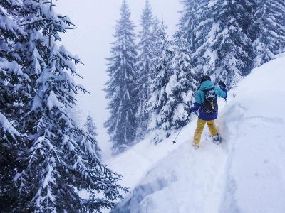 Freeriden Elm JO Freeriden Elm JO