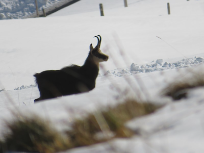 Werktagstouren 6 Werktagstouren 6