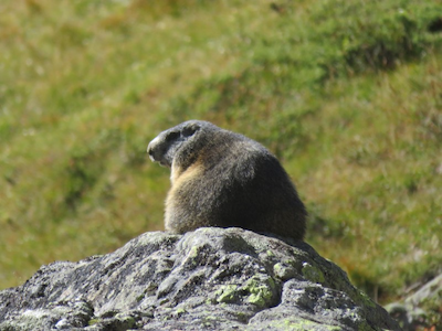 Werktagstouren 9 Werktagstouren 9