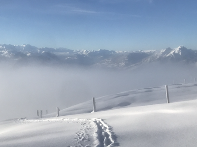 Werktagstouren 10 Werktagstouren 10