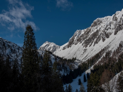 Winter 4