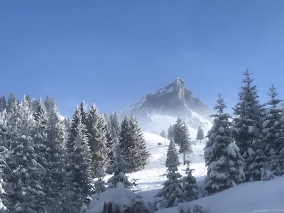 Winter 6