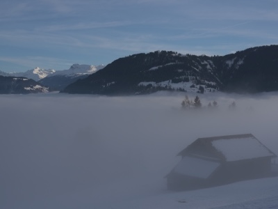 Winter 22