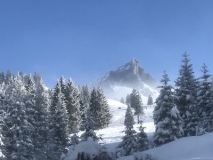 Winter 6